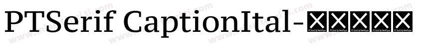 PTSerif CaptionItal字体转换